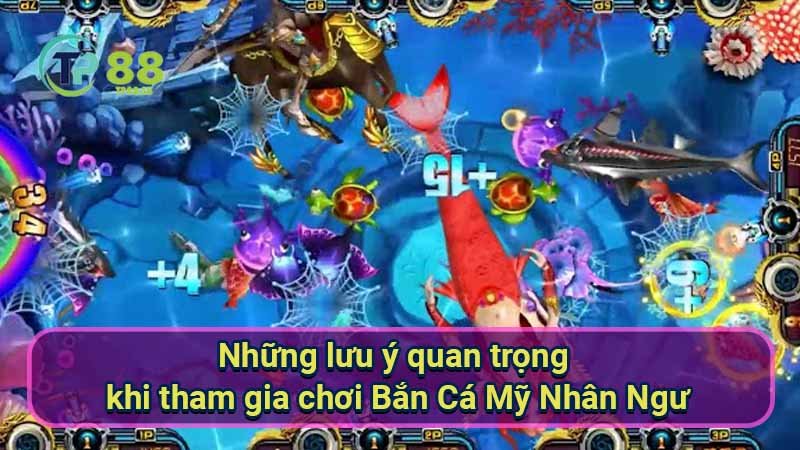 nhung-luu-y-quan-trong-khi-tham-gia-choi-ban-ca-my-nhan-ngu