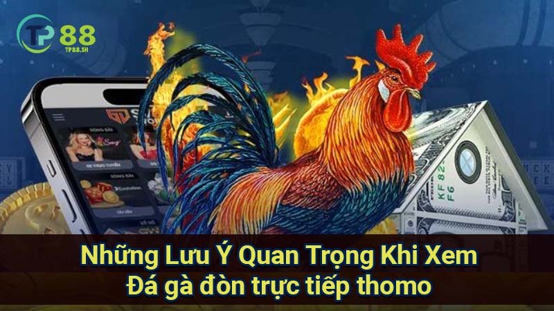 nhung-luu-y-quan-trong-khi-xem-da-ga-don-truc-tiep-thomo