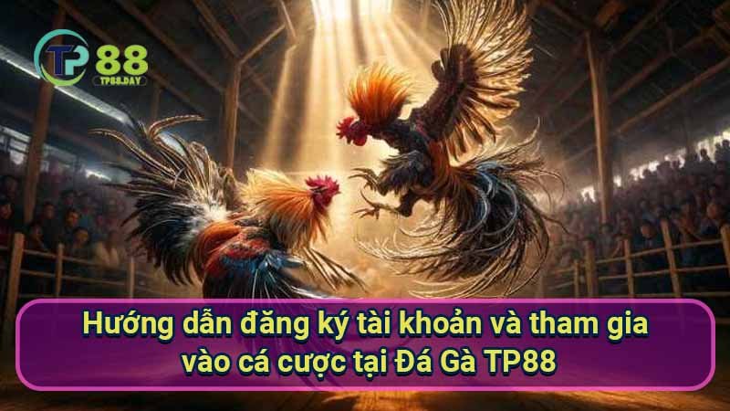 Đá Gà TP88 - Khám Phá Thế Giới Cá Cược Duyên Dáng Và Hấp Dẫn 2 huong-dan-dang-ky-tai-khoan-va-tham-gia-vao-ca-cuoc-tai-da-ga-tp88