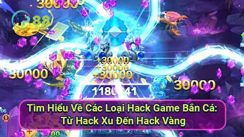 tim-hieu-ve-cac-loai-hack-game-ban-ca:-tu-hack-xu-den-hack-vang