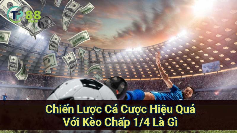 chien-luoc-ca-cuoc-hieu-qua-voi-keo-chap-1-4-la-gi