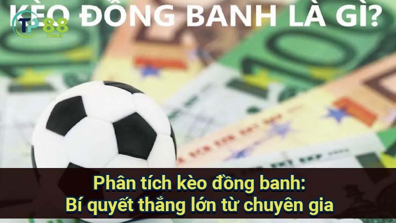 keo-dong-banh-la-gi-tp88