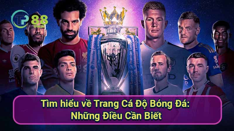 tim-hieu-ve-trang-ca-do-bong-da:-nhung-dieu-can-biet