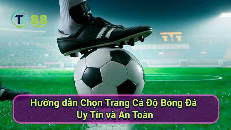 huong-dan-chon-trang-ca-do-bong-da-uy-tin-va-an-toan