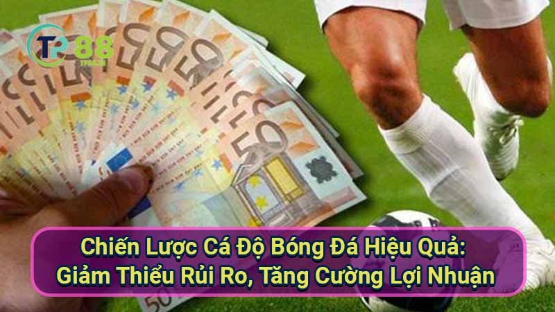 chien-luoc-ca-do-bong-da-hieu-qua:-giam-thieu-rui-ro-tang-cuong-loi-nhuan